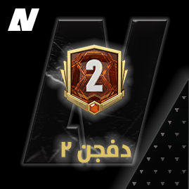 رايفلز دفجن 2